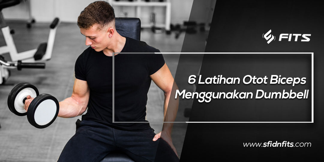 SFIDN FITS Blog 6 Latihan Otot Biceps Menggunakan Dumbbell