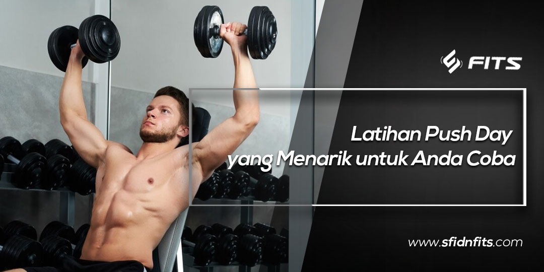 SFIDN FITS Blog Latihan Push Day Yang Menarik Untuk Anda Coba