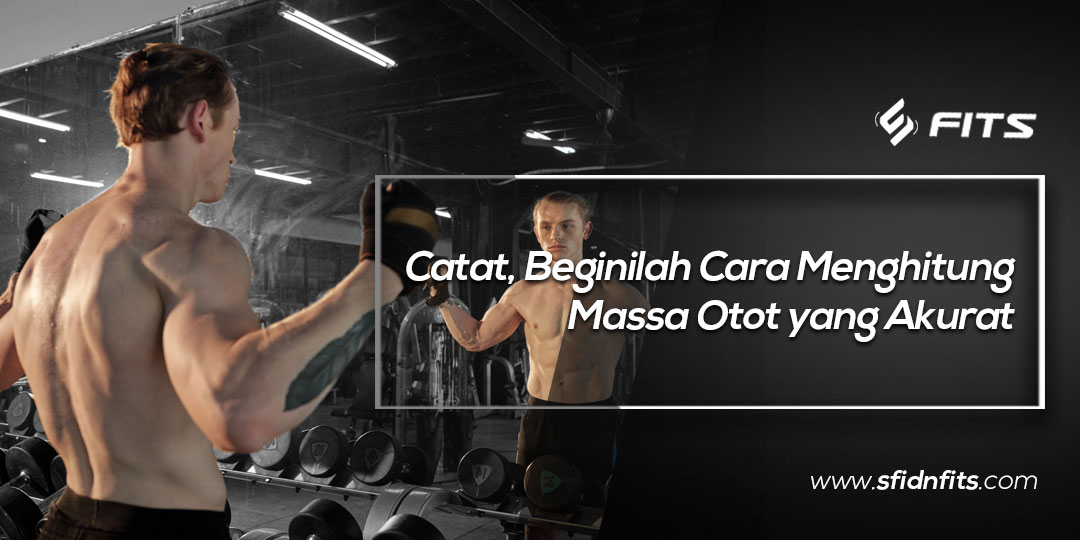 Sfidn Fits Blog Catat Beginilah Cara Menghitung Massa Otot Yang Akurat